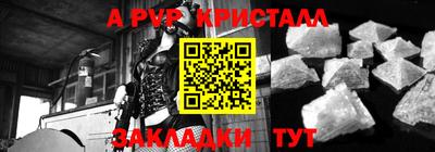 стаф Камышлов