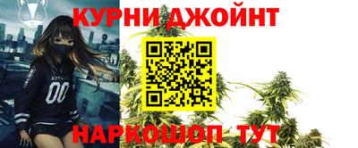 стаф Камышлов