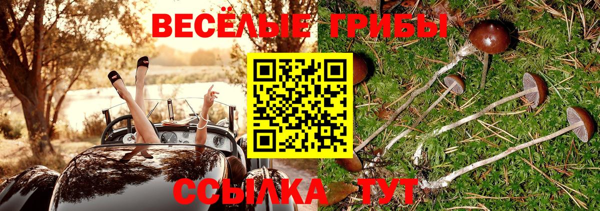 Лабинск  Псилоцибиновые грибы мухоморы  Вход с VPN 